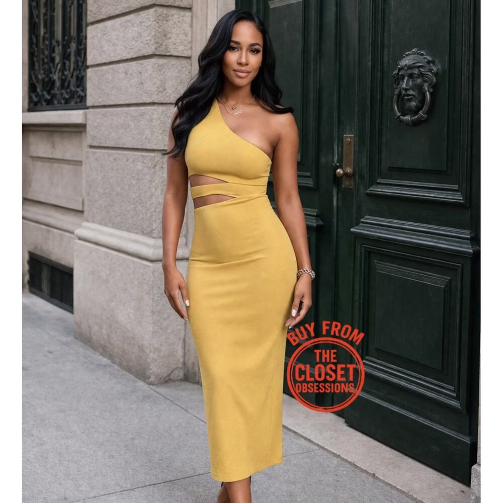ZARA Cut-Out Fitted Midi Dress NWT